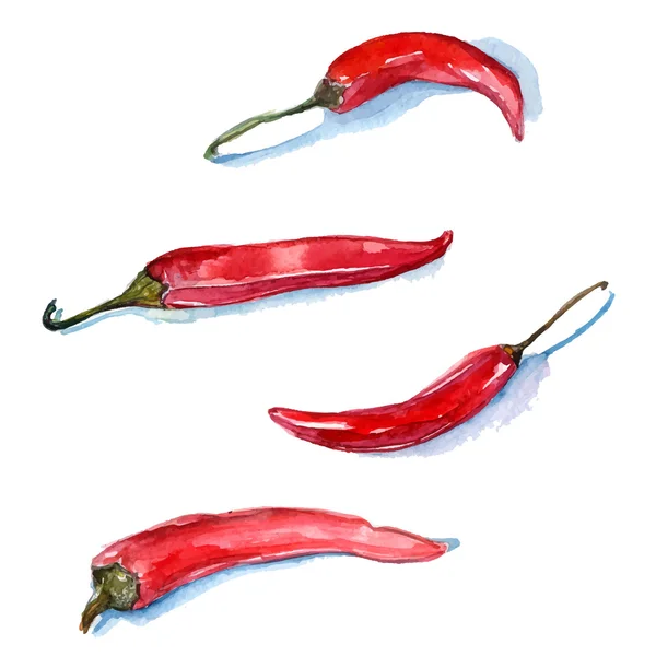 Akvarell röd chilipeppar. Vector mat — Stock vektor