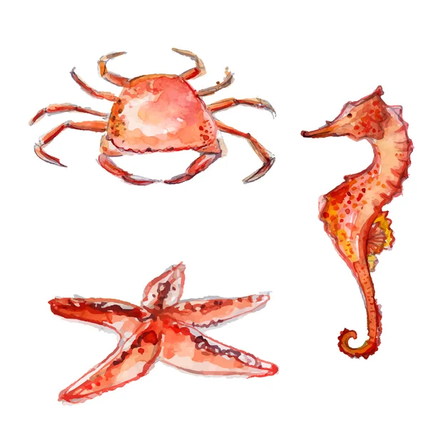 Aantal hand getrokken aquarel zeedieren. Oranje krab, starfish en Zeepaard. Kleurrijke vectorillustraties geïsoleerd op witte achtergrond. — Stockvector