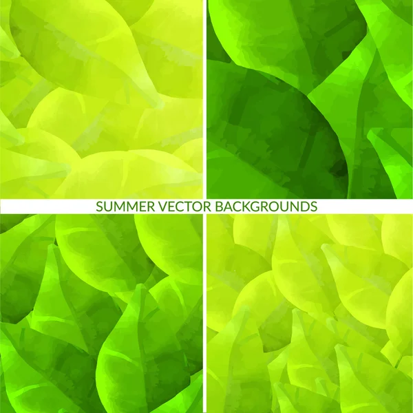 Conjunto de fondos de hojas verdes con follaje. Texturas de la naturaleza. — Vector de stock