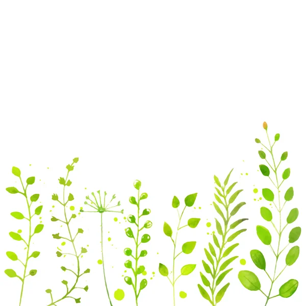 Aquarellgrüne Pflanzen — Stockvektor