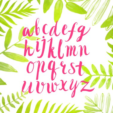 Pembe fırça alfabesi