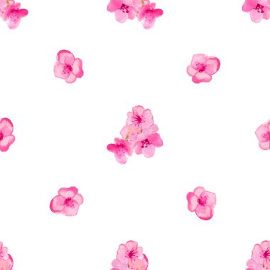 Suluboya sakura çiçekler