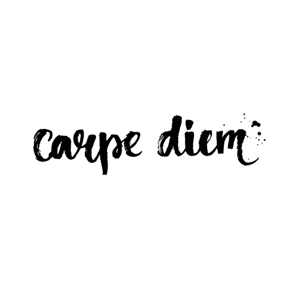 Carpe diem - латинская фраза — стоковый вектор