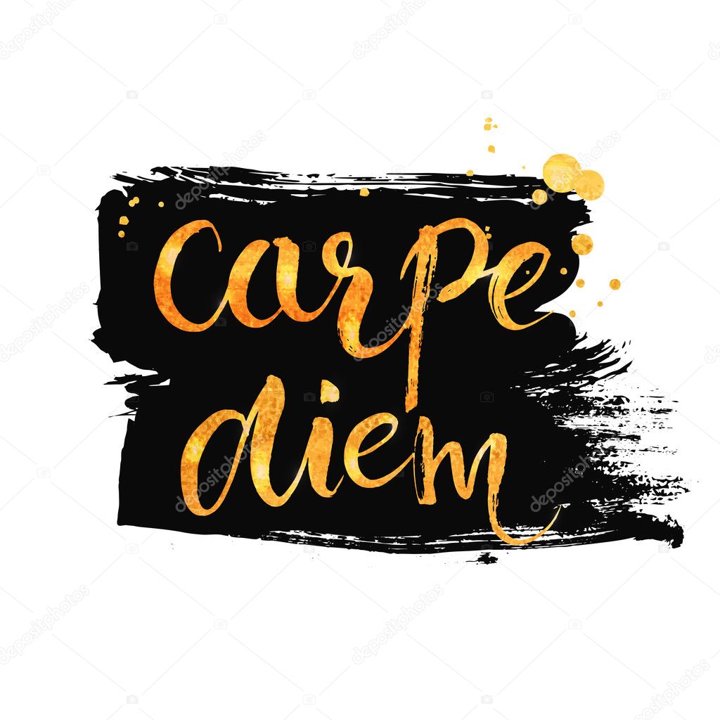 latin phrase means seize