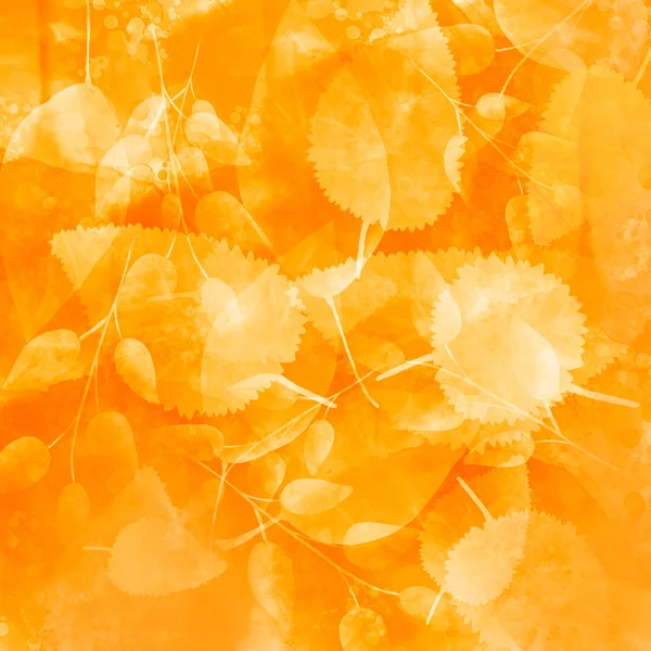 Autumn background with orange leaves. Fall texture with golden leaf. — Stock Photo, Image