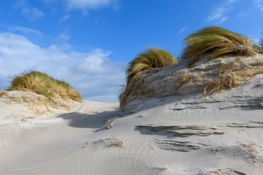 Almanya 'da Kuzey Frizya Adası' ndaki kum tepeleri