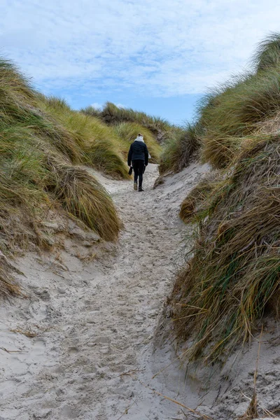 Paesaggio Amrum Germania Amrum Una Delle Isole Della Frisia Settentrionale — Foto Stock