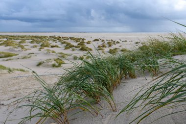 Almanya, Amrum Adası 'ndaki sahil manzarası. Amrum, Almanya 'nın Kuzey Denizi kıyısında, Sylt' in güneyinde ve Foehr 'un batısında bulunan Kuzey Frizya Adalarından biridir.