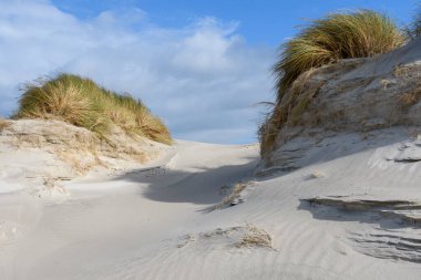 Almanya 'da Kuzey Frizya Adası' ndaki kum tepeleri