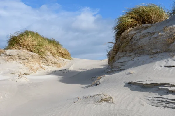 Dune Sull Isola Della Frisia Settentrionale Amrum Germania — Foto Stock