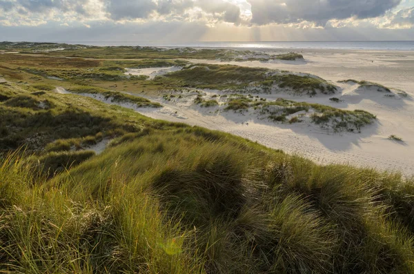 Paisaje Amrum Alemania Amrum Una Las Islas Frisias Del Norte —  Fotos de Stock