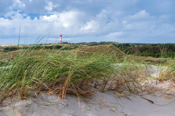 Escena Costera Isla Amrum Alemania Fondo Faro Amrum Amrum Una —  Fotos de Stock