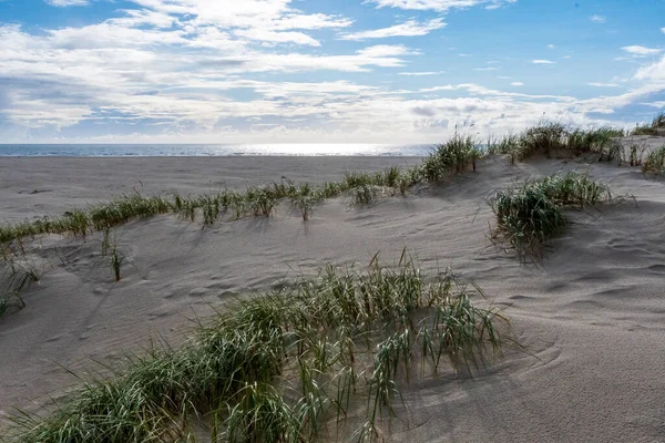 Scena Costiera Sull Isola Amrum Germania Amrum Una Delle Isole — Foto Stock