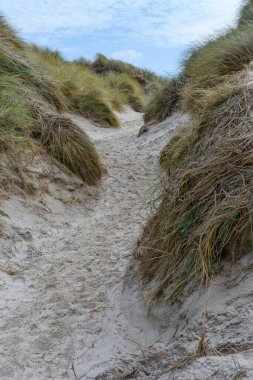 Amrum, Almanya 'da manzara. Amrum, Almanya 'nın Kuzey Denizi kıyısında, Sylt' in güneyinde ve Foehr 'un batısında bulunan Kuzey Frizya Adalarından biridir.
