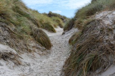 Amrum, Almanya 'da manzara. Amrum, Almanya 'nın Kuzey Denizi kıyısında, Sylt' in güneyinde ve Foehr 'un batısında bulunan Kuzey Frizya Adalarından biridir.