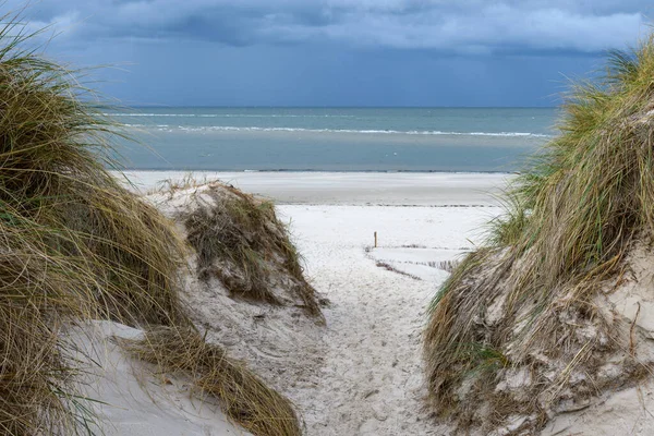 Paisaje Amrum Alemania Amrum Una Las Islas Frisias Del Norte —  Fotos de Stock