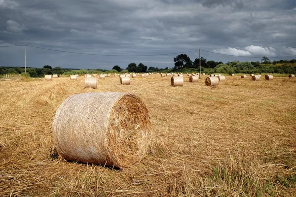 Rural landscape with straw rolls — Stock Photo, Image