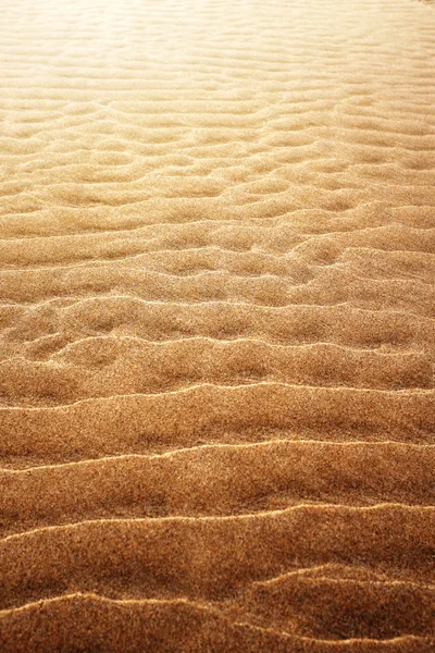 Золотой песок во время отлива — стоковое фото