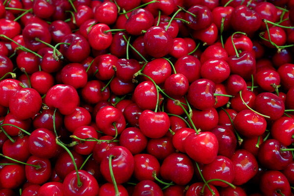 cherries for sale in a market