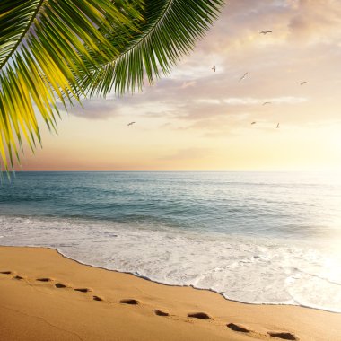 Idyllic tropical beach