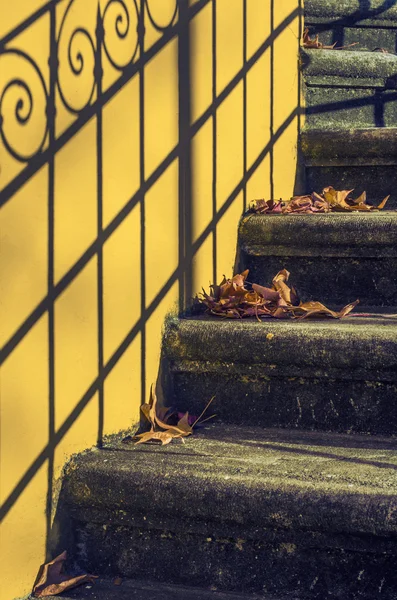 Stairway with fallen leaves — Stock Photo, Image