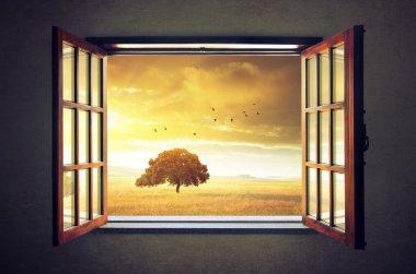 Pencereden dışarı bakıyorum.