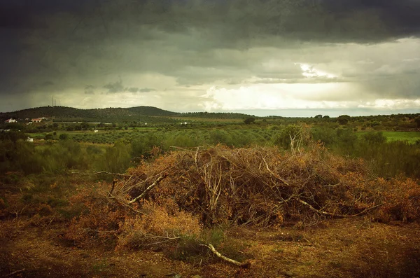 Prachtige natuur landschap — Stockfoto