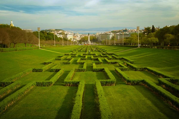 Kertek, Edward Vii Park Lisszabonban — Stock Fotó