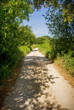 Ayak izi ile doğal peyzaj