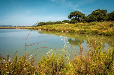 güzel kırsal manzara