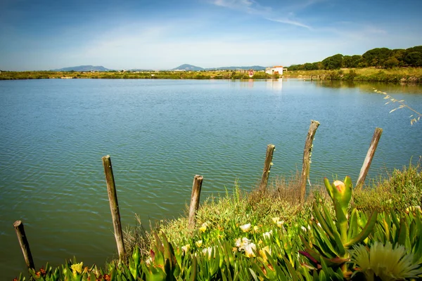 Bellissimo paesaggio di campagna — Foto Stock