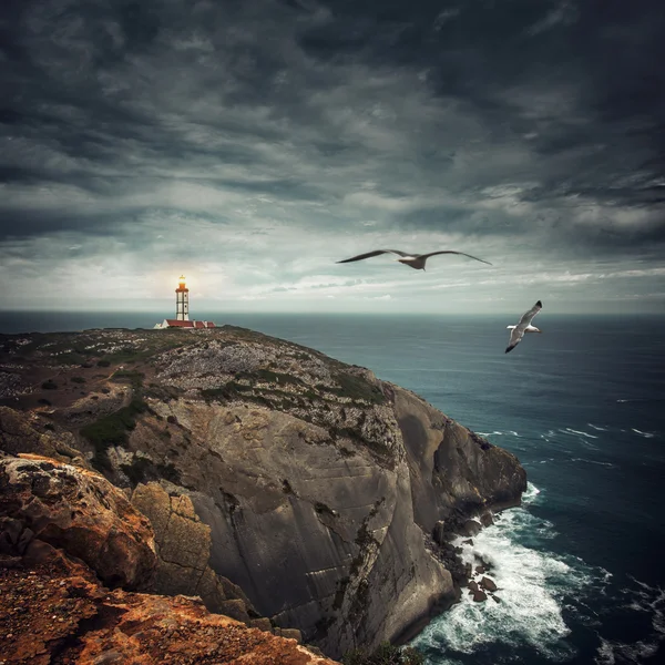 Coastline with a lighthouse and seagulls — Stock Photo, Image