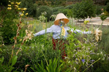 Komik giyimli korkuluk