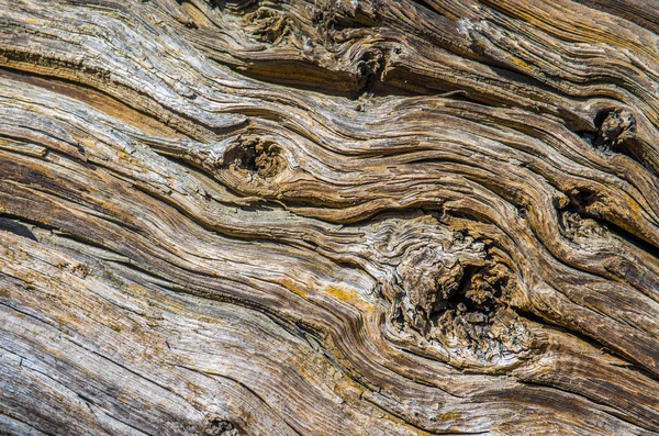 Old and dry wood with cracked texture — Stock Photo, Image