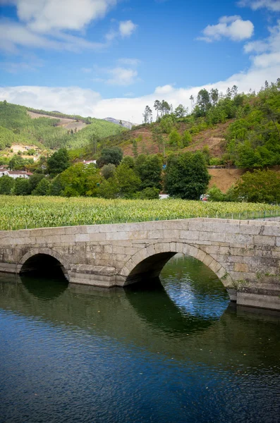 Landschap met een rivier en de oude brug — Stockfoto