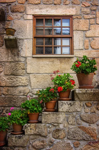 Фасады домов украшены цветами — стоковое фото