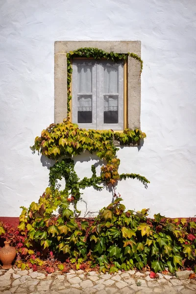 Facciate della casa decorate con vecchi vasi — Foto Stock