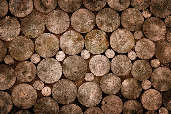 Troncs de bois hachés — Photo