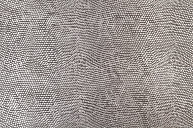 Yakından bakınca gümüş bir deri.