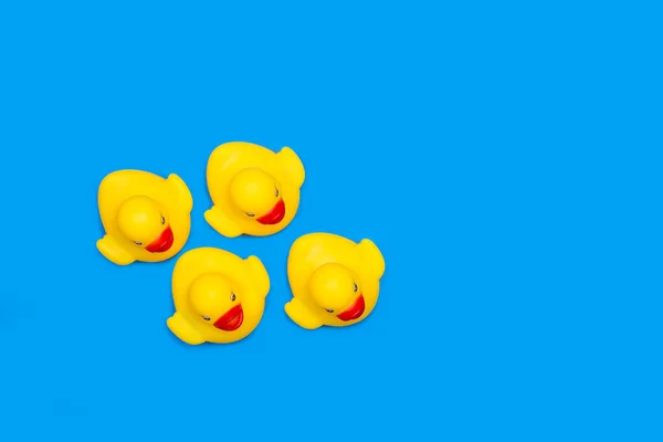 Juguete Goma Amarillo Patos Sobre Fondo Azul — Foto de Stock