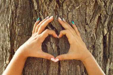 Ağaç gövdesinin önünde kalp şeklinde kadın elleri