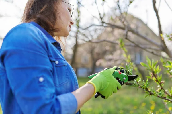 Lente tuinieren, vrouw tuinier in handschoenen met snoeier, de vorming van perzik boom — Stockfoto