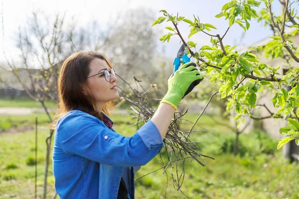 Lente tuinieren, vrouw tuinier in handschoenen met snoeier, de vorming van peer boom — Stockfoto