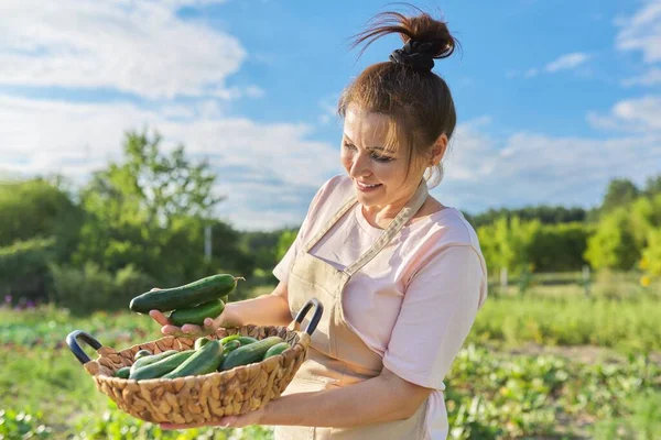 Mujer sonriente con cosecha de pepinos en la granja — Foto de Stock