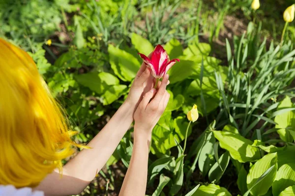 봄철 배경, 봄 정원에서 튤립 꽃을 들고 있는 여자 — 스톡 사진