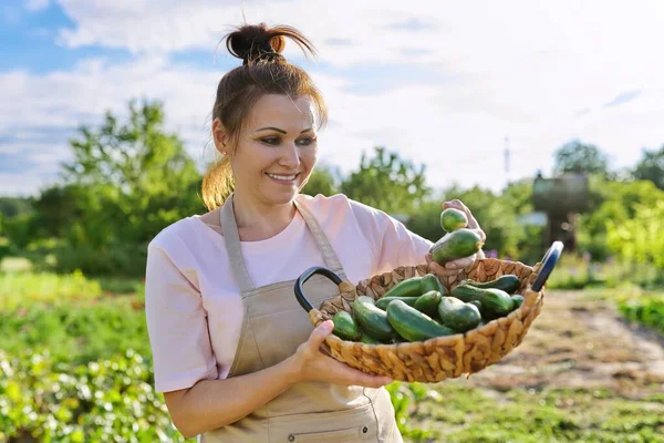 Mujer sonriente con cosecha de pepinos en la granja — Foto de Stock