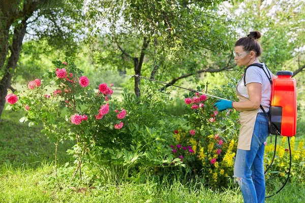 Perempuan di kebun belakang dengan tekanan sprayer ransel melindungi tanaman mawar — Stok Foto