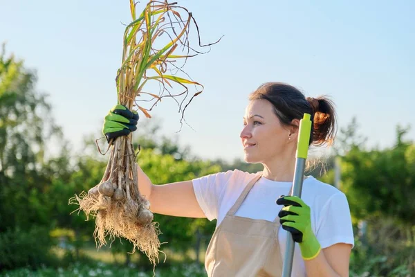 Smiling woman petani tukang kebun memegang segar digali bawang putih tanaman di tangan — Stok Foto