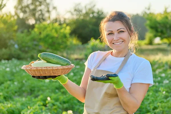 Wanita tersenyum dengan keranjang zucchini dipetik segar di pertanian — Stok Foto