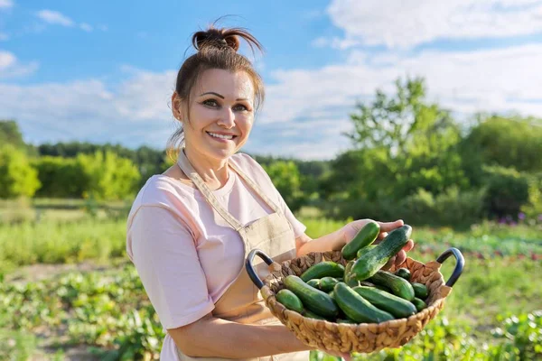 Mujer sonriente con cesta de pepinos recién arrancados en la granja — Foto de Stock